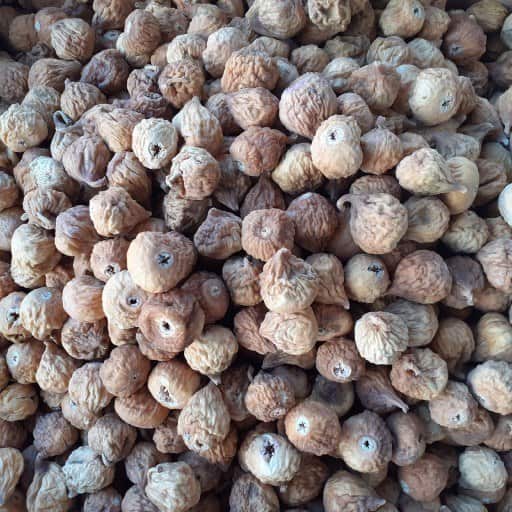 ZmkOw5xTsCrfRkE4 (1)