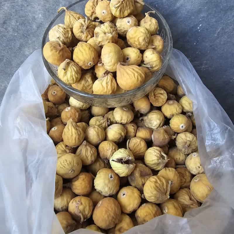 vEU9Cpj6D4gG0r_T (1)